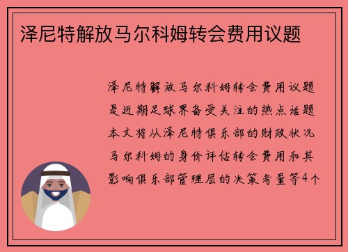 泽尼特解放马尔科姆转会费用议题